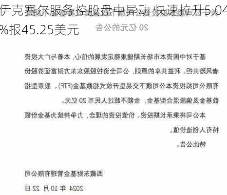 伊克赛尔服务控股盘中异动 快速拉升5.04%报45.25美元