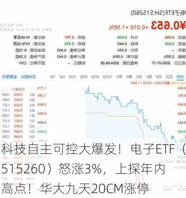 科技自主可控大爆发！电子ETF（515260）怒涨3%，上探年内高点！华大九天20CM涨停