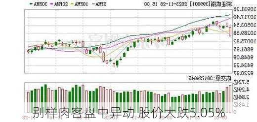 别样肉客盘中异动 股价大跌5.05%