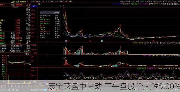 康宝莱盘中异动 下午盘股价大跌5.00%