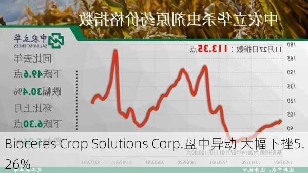 Bioceres Crop Solutions Corp.盘中异动 大幅下挫5.26%