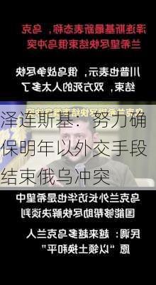 泽连斯基：努力确保明年以外交手段结束俄乌冲突