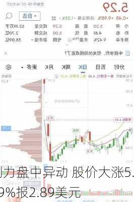 创力盘中异动 股价大涨5.29%报2.89美元