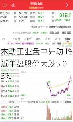 木勒工业盘中异动 临近午盘股价大跌5.03%