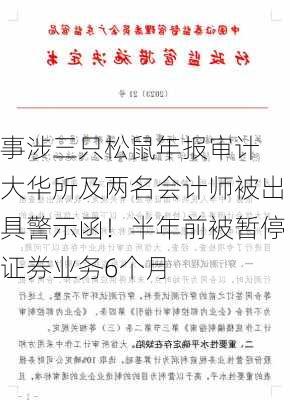 事涉三只松鼠年报审计 大华所及两名会计师被出具警示函！半年前被暂停证券业务6个月