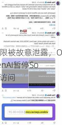 权限被故意泄露，OpenAI暂停Sora访问