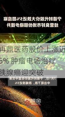 再鼎医药股价上涨近5% 肿瘤电场治疗胰腺癌迎突破