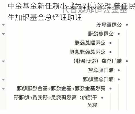 中金基金新任赖小鹏为副总经理 曾任民生加银基金总经理助理